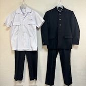 ���� Ĺ�긩 Ĺ���Ω�߹����ع� �˻�����