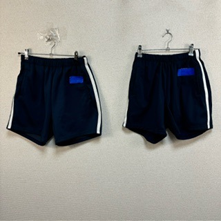 6点 愛媛県 愛媛県立宇和島南中等教育学校 体操服 | 高校制服 | 中古