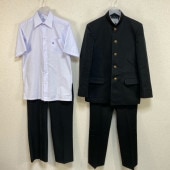 ���� ���츩 �����Ω������ع� �˻�����