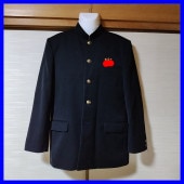 2�� �ܺ긩 �䲬��Ω������ع� �˻�����