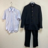 ���� ���츩 ������Ω������ع� �˻�����