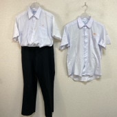 ���� ���츩 ������Ω������ع� �˻�����