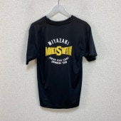 ���� �ܺ긩 �ܺ��Ω����ع� �������˥ե�����