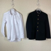 ���� ����� �������Ω��������ع� �˻�����