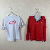 ���� ��ʬ�� ��ʬ��Ω������ع� ����������