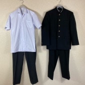 ���� ���츩 �����Ω��������ع� �˻�����