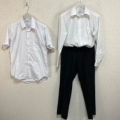 ���� ʡ���� ʡ����Ω�����ع� �˻�����