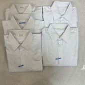 ���� Ĺ� �����Ω�����ع� �˻�����