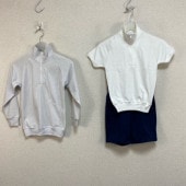 ���� ������ ������