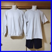 3�� ���츩 ����ĮΩ������ع� �˻�������