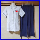 2�� �����縩 ��������ŵ�������ع� ���Ҽ½���