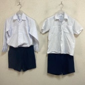 ���� ���������°���ع� �˻�����