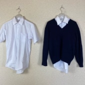 ���� ����� ­Ω��Ω�����ع� �˻�����