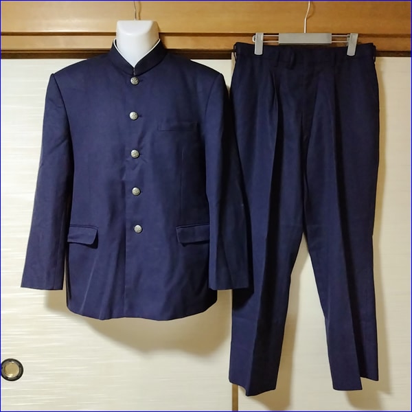 9点 埼玉県 埼玉県立伊奈学園総合高校 男子制服 | 高校制服 | 中古制服