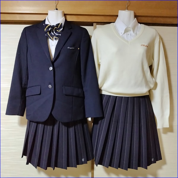 9点 大阪府 大阪府立刀根山高校 女子制服 | 高校制服 | 中古制服は制服