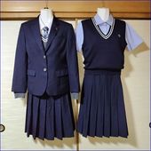 9点 大阪府 大阪府立刀根山高校 女子制服 | 高校制服 | 中古制服は制服