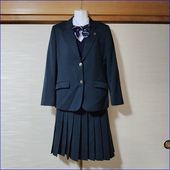 3点 大阪府 羽曳野市立峰塚中学校 女子制服 | 中学校制服 | 中古制服は