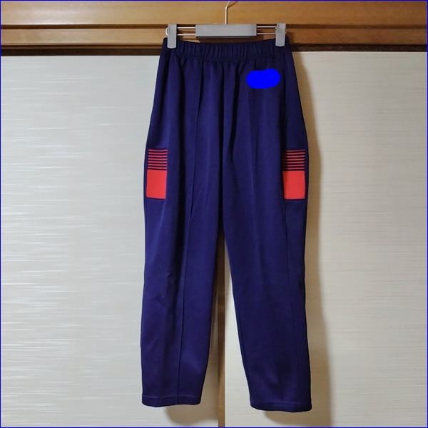 2点 岐阜県 済美高校 女子体操服 | 高校制服 | 中古制服は制服
