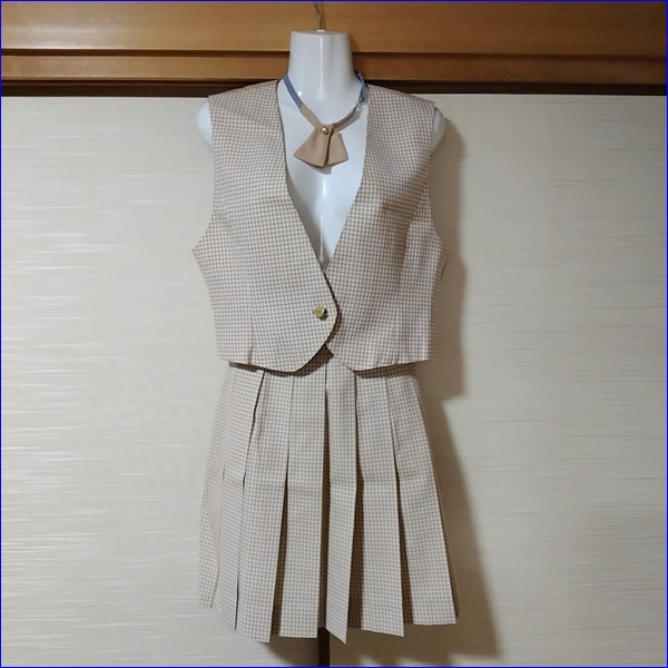 6点 千葉県 千葉県立大多喜高校 女子制服 【ブランド制服】 | 高校制服