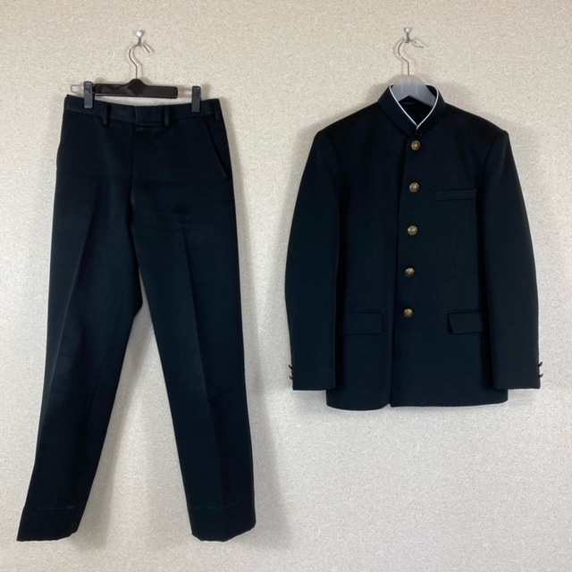 ���� ���ϸ� �������Ω�軰��ع� �˻�����