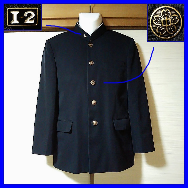 5�� �Ŀ��� Ȭ�ͻ�Ω�������ع� �˻�����