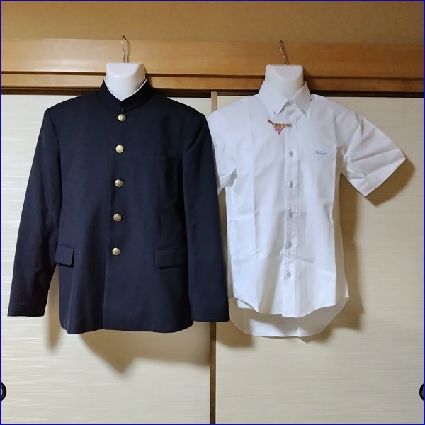 5�� ���츩 ����ĺ�����ع� �˻����� �ڥ֥���������