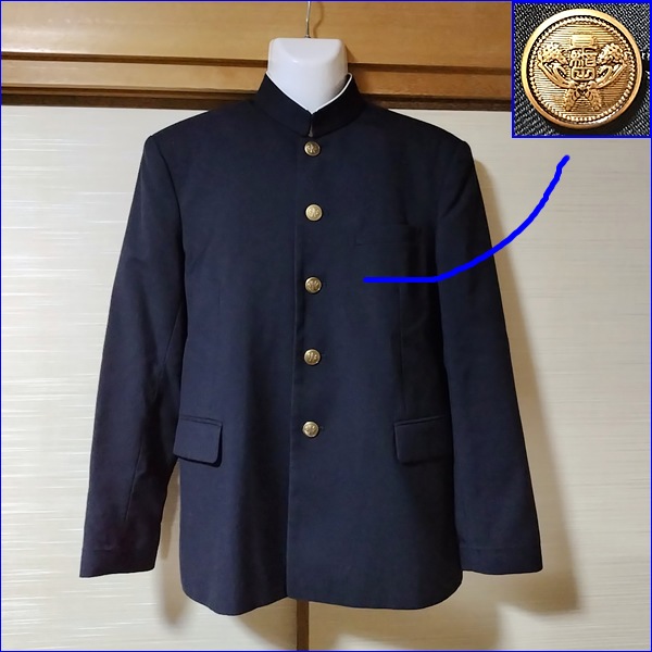 5�� ���츩 ����ĺ�����ع� �˻����� �ڥ֥���������