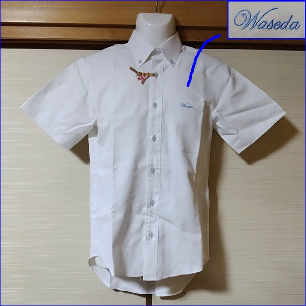 5�� ���츩 ����ĺ�����ع� �˻����� �ڥ֥���������