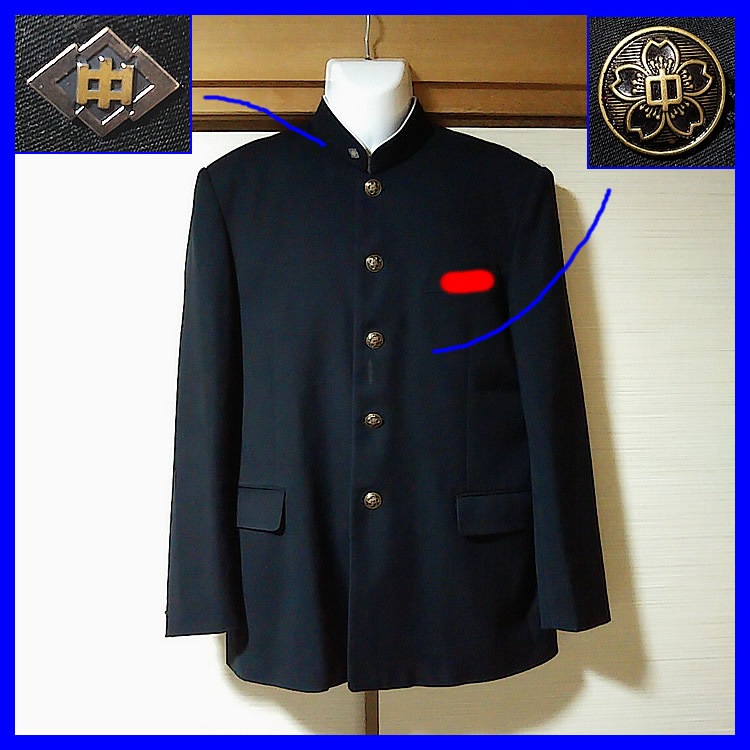 7�� ���θ� ��������Ω��¼��ع� �˻�����