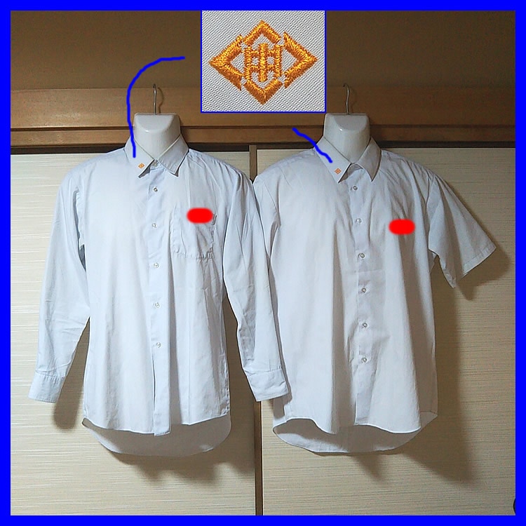 7�� ���θ� ��������Ω��¼��ع� �˻�����