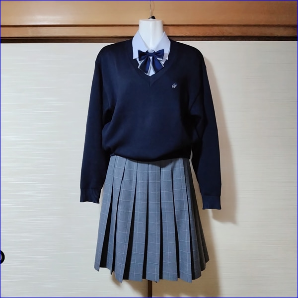16点 東京都 明治大学付属八王子高校 女子制服 旧：明治大学付属中野