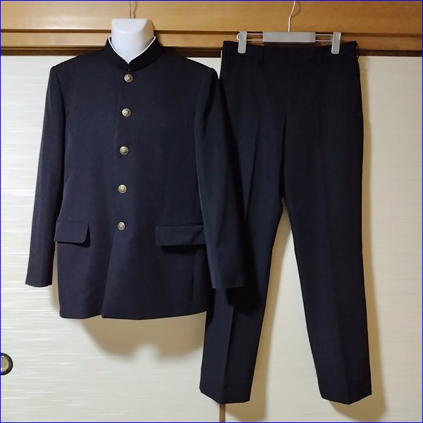 5�� ��븩 �쳤¼Ω�쳤����ع� �˻����� �ڥ֥���������