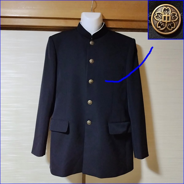 5�� ��븩 �쳤¼Ω�쳤����ع� �˻����� �ڥ֥���������