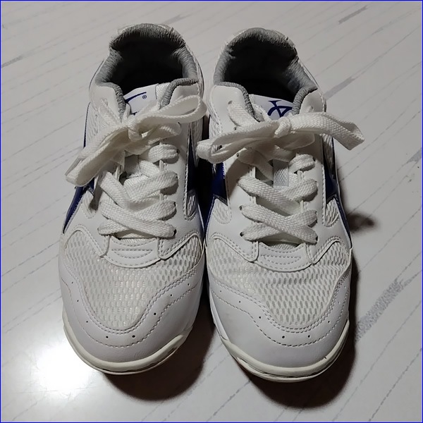 5�� ����� ���쥸�����ݳر���ع� ���쥸�����ݳر�⹻ �˻����������졧�����ر���ع� �����ر�����ع�