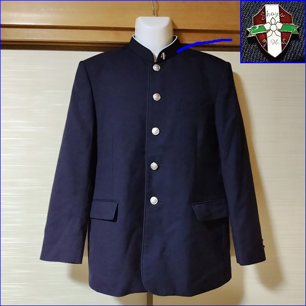 5�� ����� ������ع� �˻�����