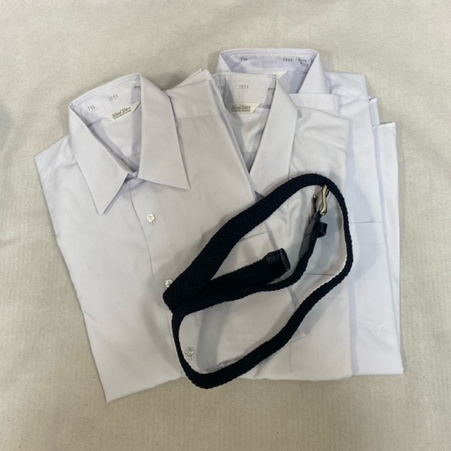 ���� �Ų��� �;���Ω��������ع� �˻�����