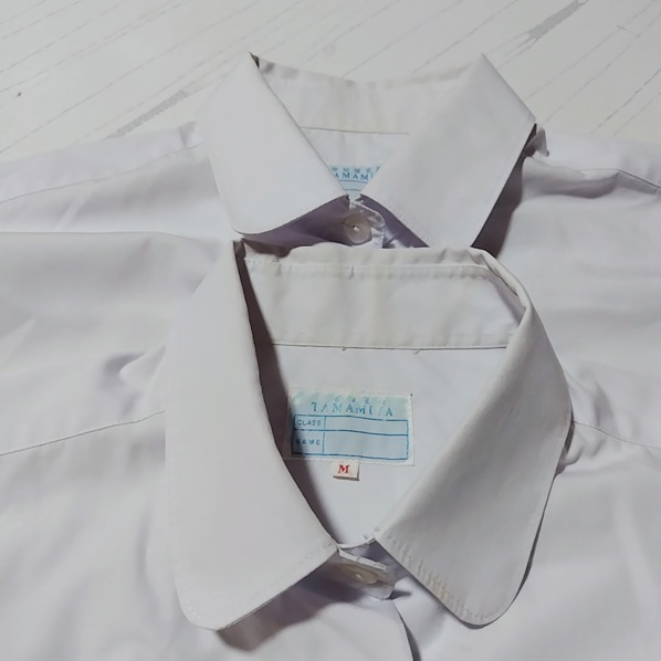 6�� ���츩 ���쾰�ع⹻ ��������