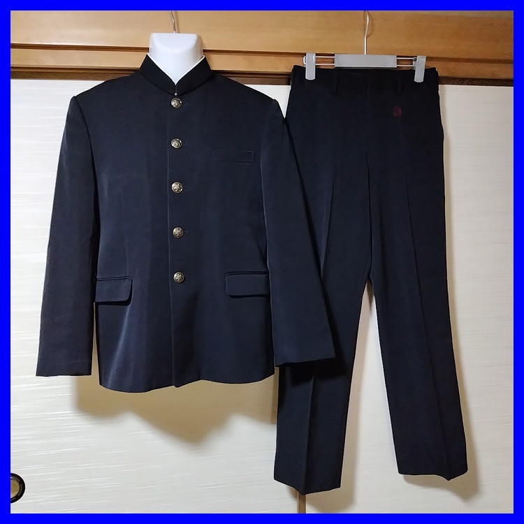 3�� ���θ� �������Ω��¿��ع� �˻�����