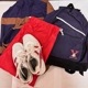 13�� ���츩 �����Ω������ع� �˻�����