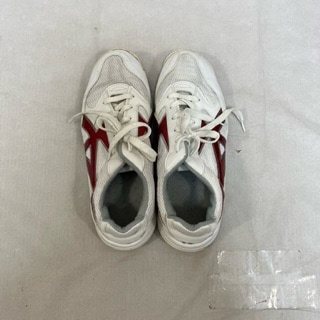 ���� ����� ���϶�Ω����������ع� �˻�����