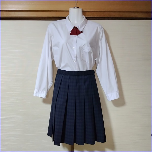 12�� ʡ�縩 ʡ�������⹻ �������� �ڥ֥���������