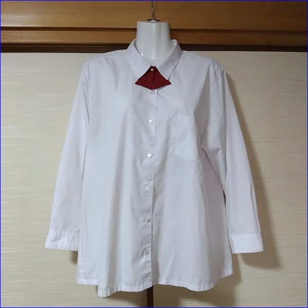 12�� ʡ�縩 ʡ�������⹻ �������� �ڥ֥���������
