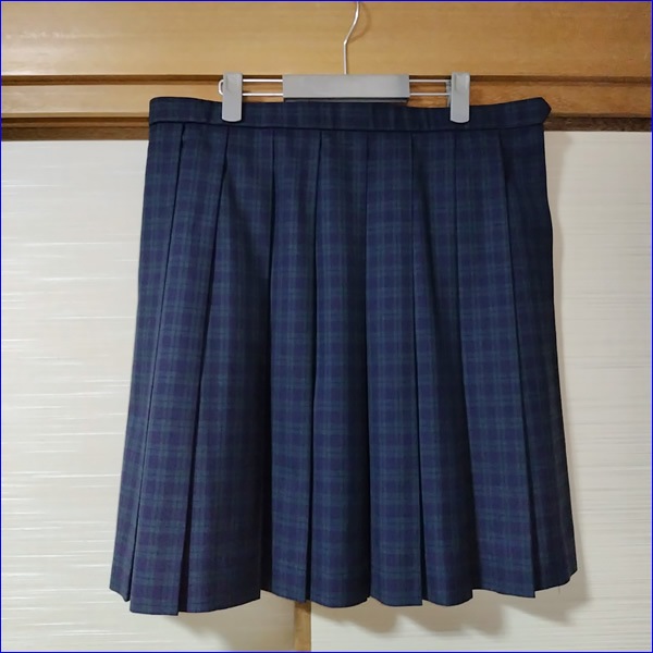 12�� ʡ�縩 ʡ�������⹻ �������� �ڥ֥���������