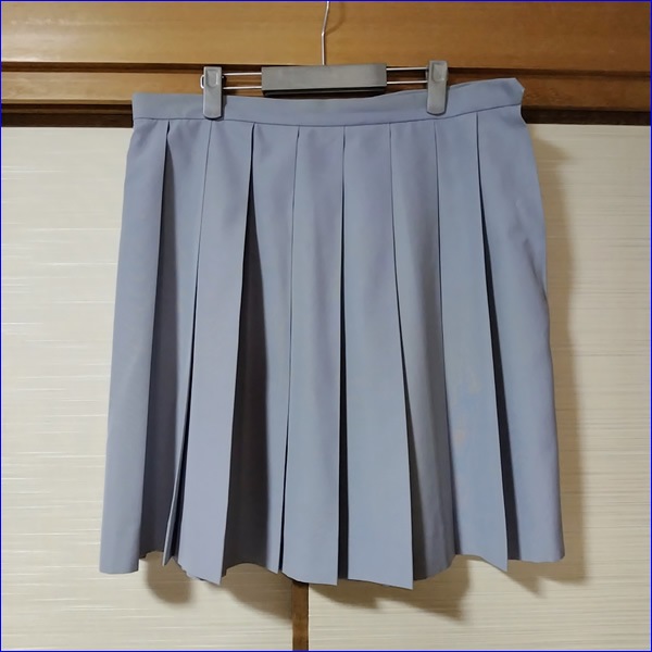 12�� ʡ�縩 ʡ�������⹻ �������� �ڥ֥���������
