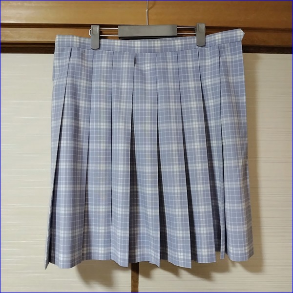 12�� ʡ�縩 ʡ�������⹻ �������� �ڥ֥���������