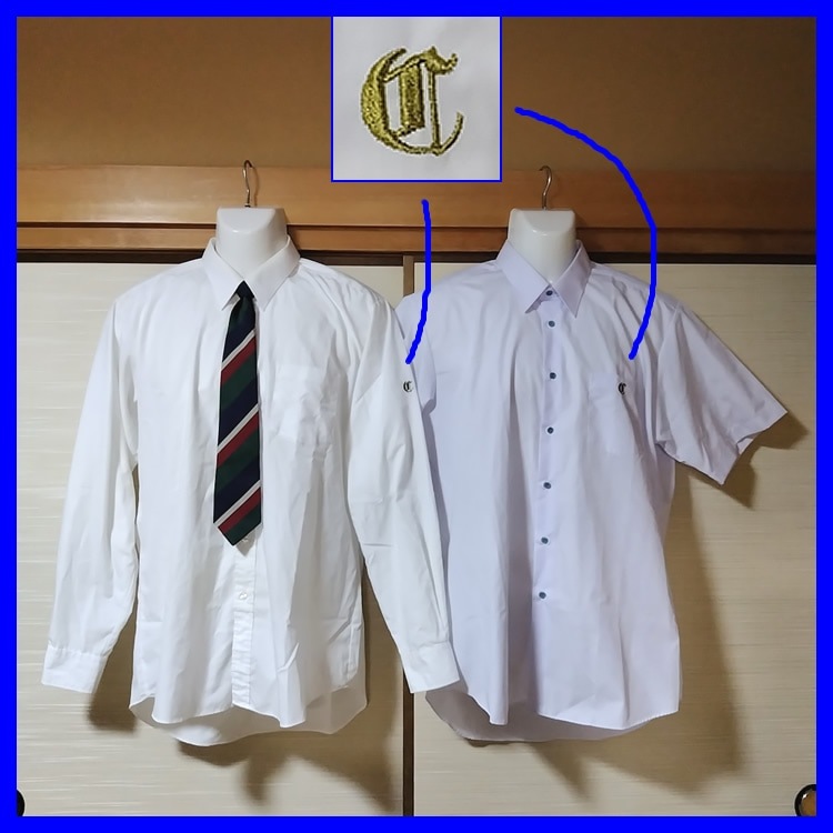 13�� Ĺ� ����Ĺ����ع� ����Ĺ���⹻ �˻����� �� �ڵ�������