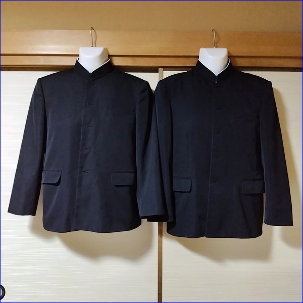 2�� �����縩 �������Ω��������ع� �˻�����