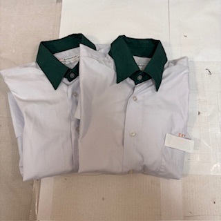 ���� ���츩 �����Ω��Τ��ع� �˻�����