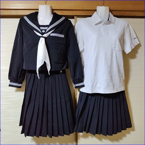 7�� ���Ÿ� ������Ω������ع� ��������