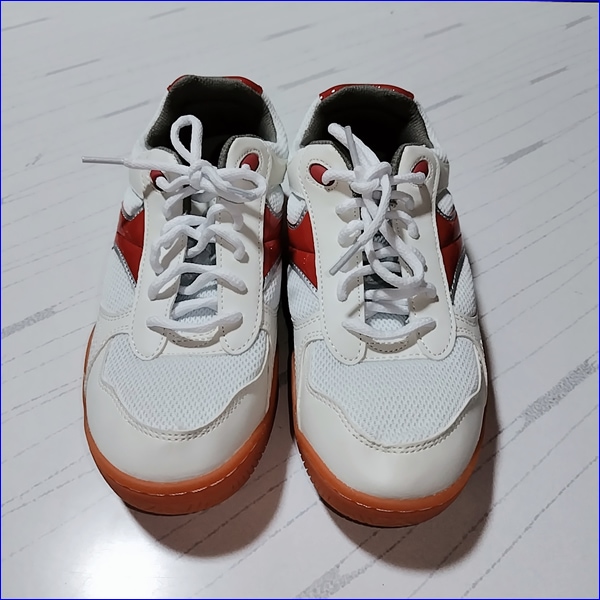 5�� ʼ�˸� �����Ω������ع� �˻�������